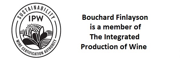 Bouchard Finlayson IPW