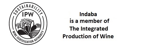 Indaba IPW