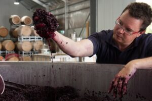 Tom White Winemaker JJ Hahn