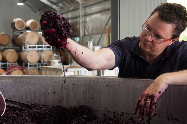 Tom White Winemaker JJ Hahn
